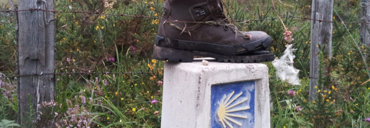 02. Roncesvalles → Larrasoaña