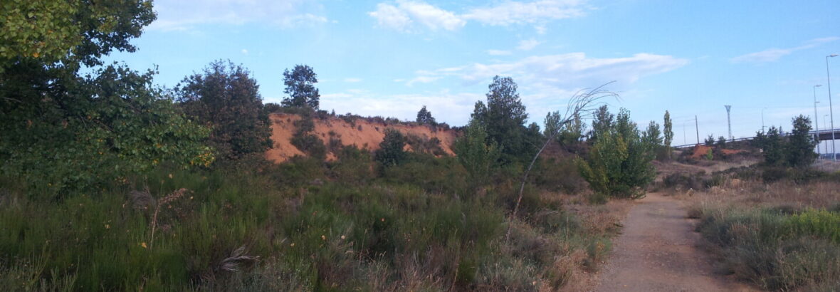 17. León → Villadangos del Páramo