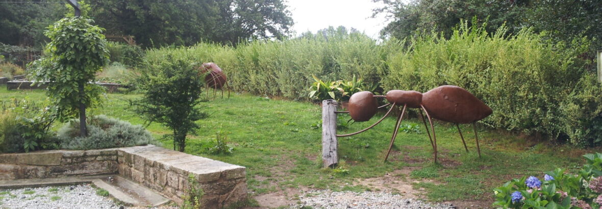 27. O Hospital → Melide