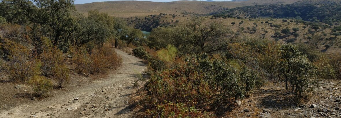 15. Canaveral → Galisteo