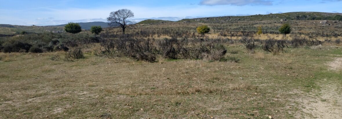 07. Lubian → A Gudina