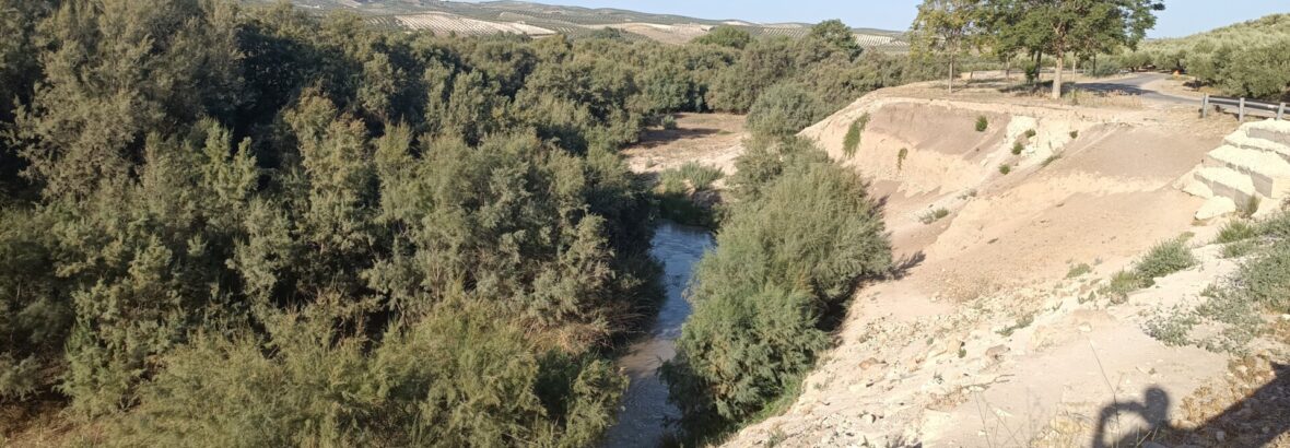 16. Baena → Castro del Rio