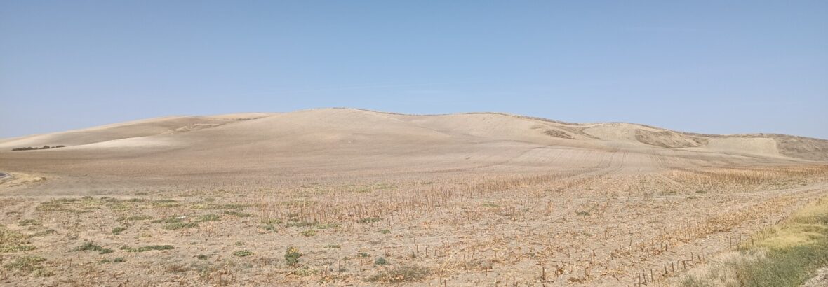 17. Castro del Rio → Santa Cruz